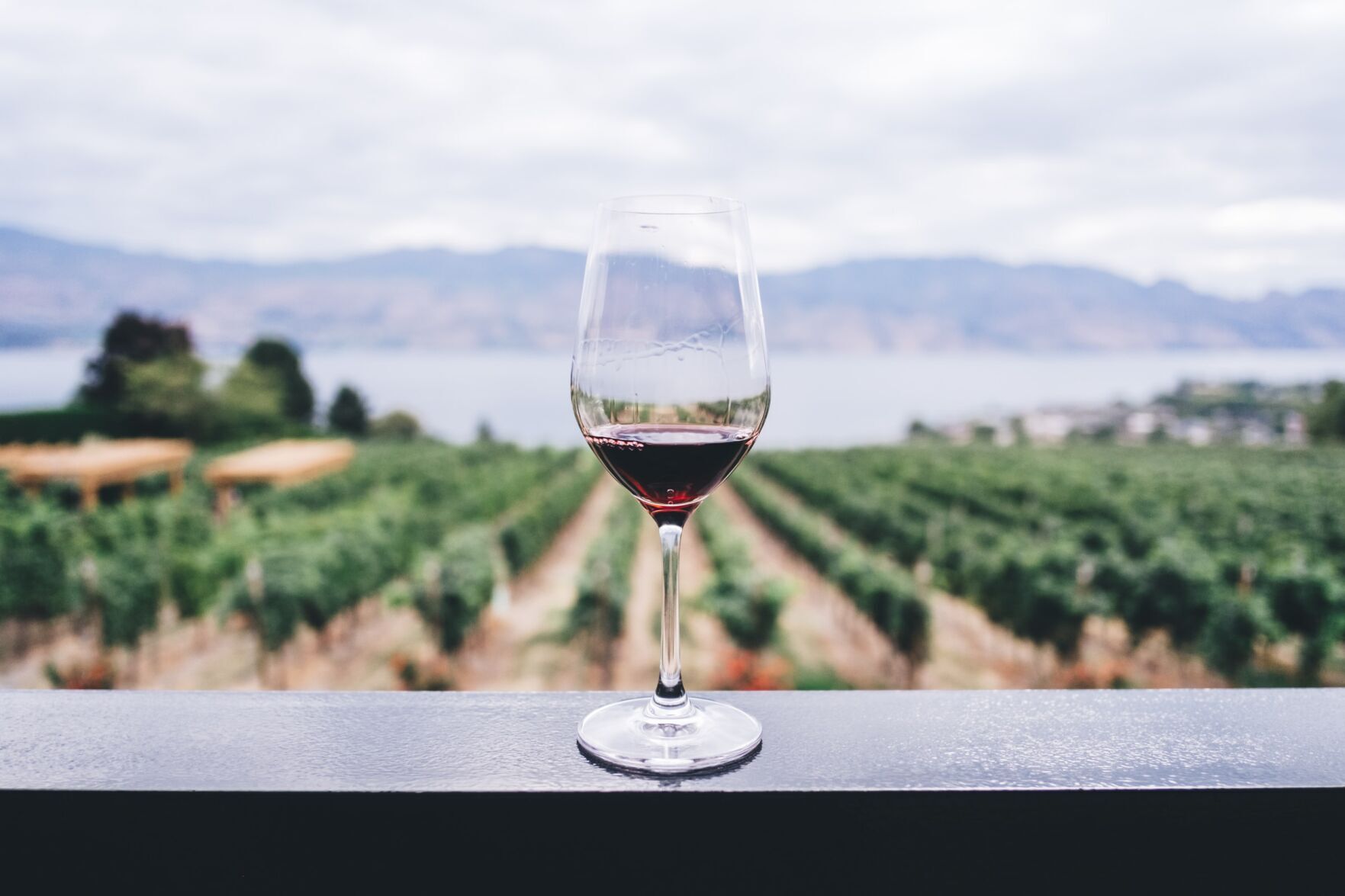 2019 Kirkland Signature Russian River Valley Pinot Noir